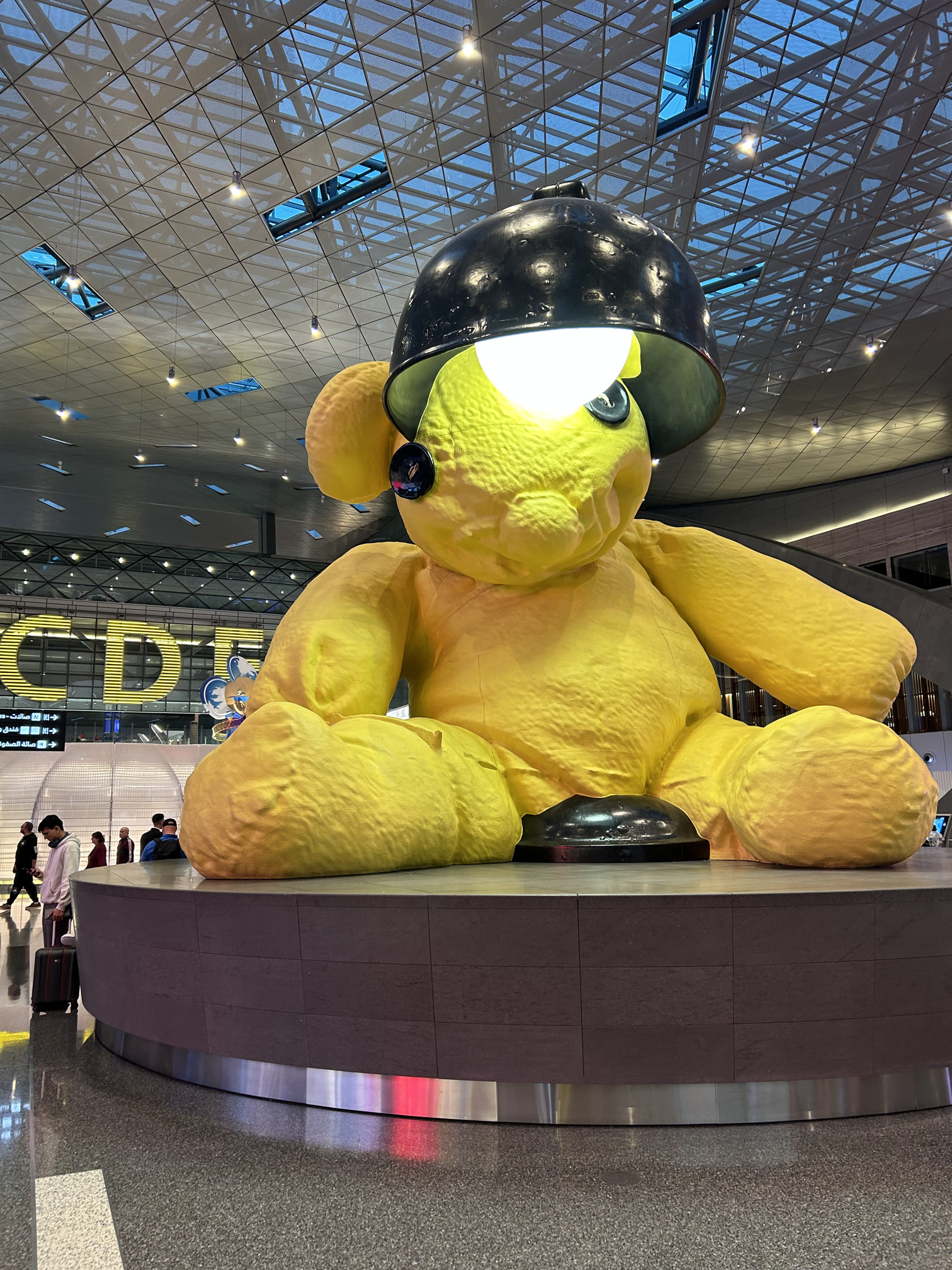 DohaBear